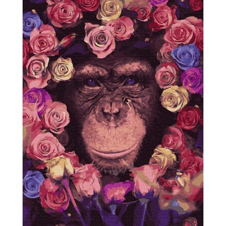 Картина за номерами 40х50см. GX36041 Шимпанзе Rainbow